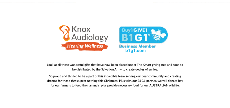 Knox Audiology_Christmas Card 2019 p4 Knox Audiology_Christmas Card 2019 p4